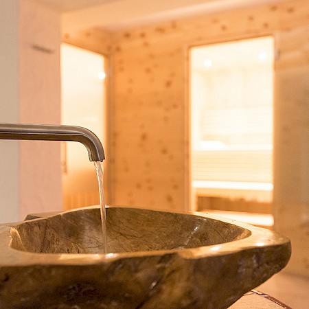 Ferienwohnungen mit Wellness in Dienten